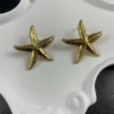 Stainless Steel Star Earrings (Copy) (Copy) - Image 2