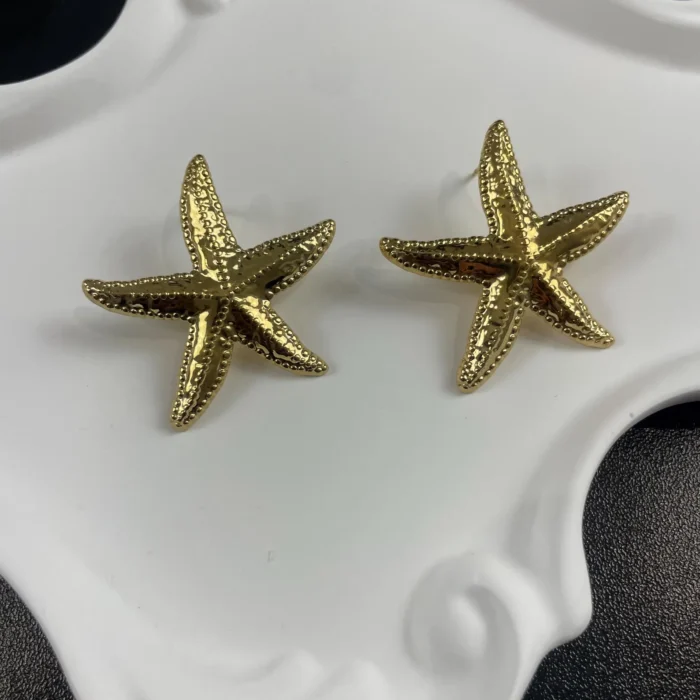 Stainless Steel Star Earrings (Copy) (Copy) (Copy)