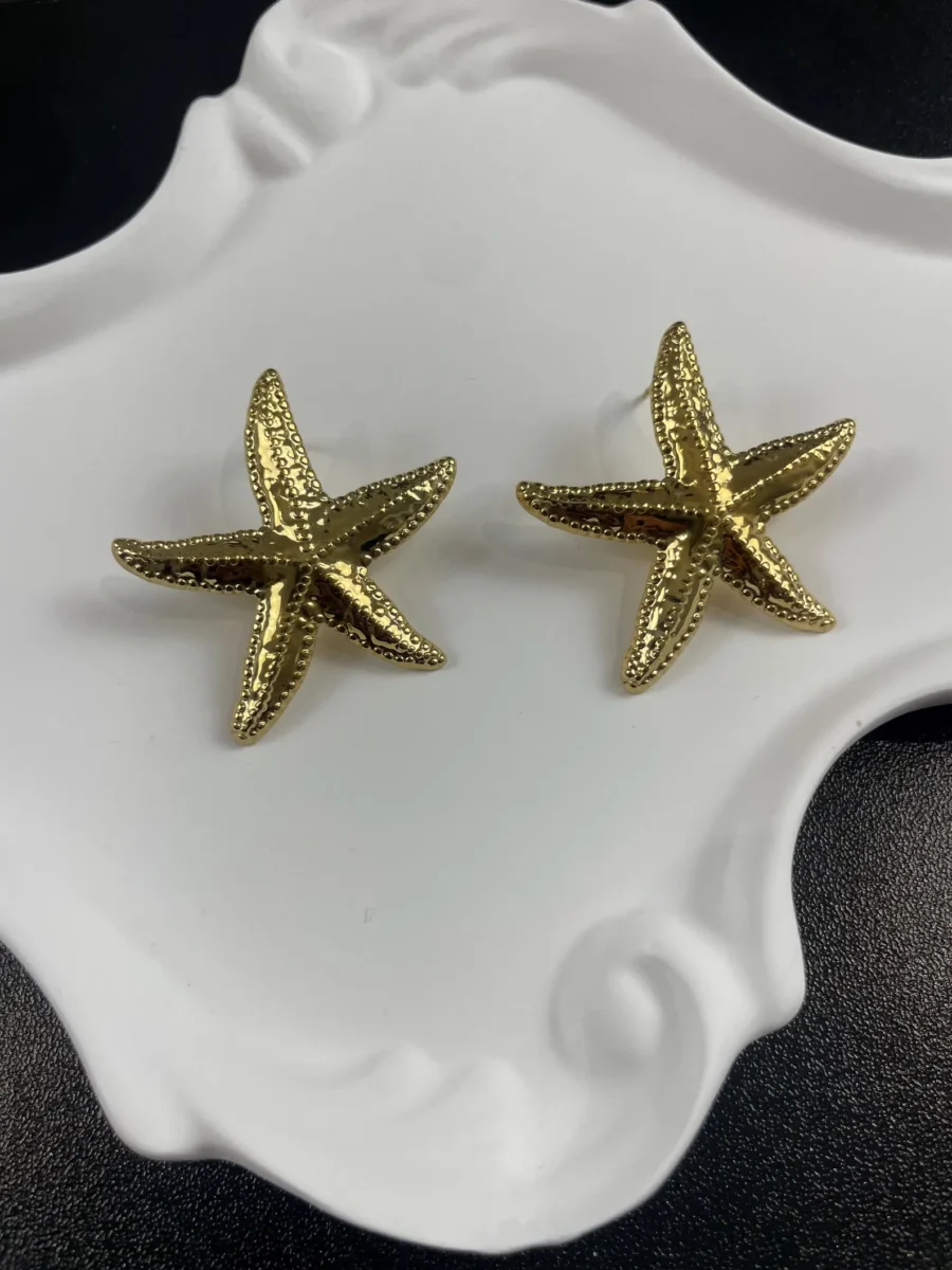 Stainless Steel Star Earrings (Copy) (Copy)