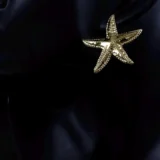 Stainless Steel Star Earrings (Copy) (Copy) - Image 4